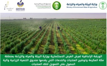 جهات حكومية تكشف عن فرص استثمارية واعدة بمحافظات مكة المكرمة