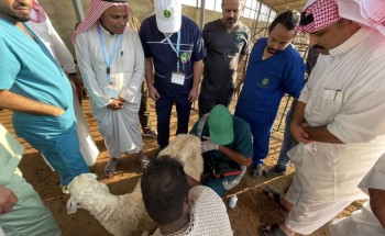 مركز التدريب الزراعي بجازان ينفذ برنامج التقنيات والممارسات الحديثه في تربيه المواشي مركز التدريب الزراعي بجازان ينفذ برنامج التقنيات والممارسات الحديثه في تربيه المواشي