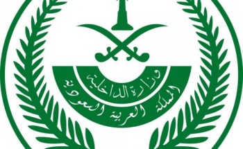 إجراءات احترازية جديدة لدخول المملكة.. وقصر القدوم من الإمارات والبحرين والكويت على 3 مطارات إجراءات احترازية جديدة لدخول المملكة.. وقصر القدوم من الإمارات والبحرين والكويت على 3 مطارات