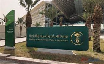 بأكثر من 59 مليون ريال .. “البيئة” تودع الدعم في حسابات مربي الدواجن بأكثر من 59 مليون ريال .. “البيئة” تودع الدعم في حسابات مربي الدواجن