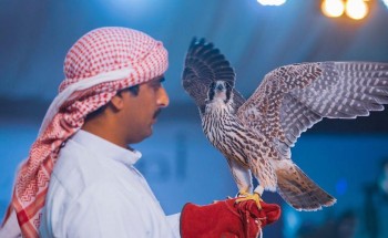 فيديو.. مزاد حفر الباطن للصقور يشهد بيع فرخ شاهين بـ 400 ألف ريال فيديو.. مزاد حفر الباطن للصقور يشهد بيع فرخ شاهين بـ 400 ألف ريال