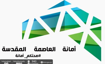 أمانة مكة تنظم ورشة عمل “عن بعد” بعنوان أدوات ضبط الجودة وطرق حل المشكلات في الأزمات