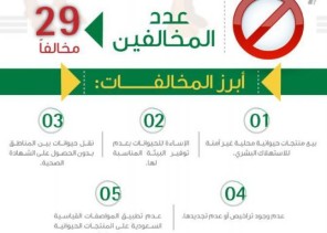 “البيئة” تغرم 29 مخالفاً لنظامي الثروة الحيوانية والرفق بالحيوان بـ 1,7 مليون ريال “البيئة” تغرم 29 مخالفاً لنظامي الثروة الحيوانية والرفق بالحيوان بـ 1,7 مليون ريال