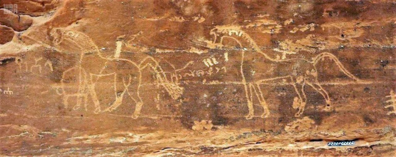 هيئة السياحة تعلن عن اكتشاف موقع أثري بمنطقة حائل
