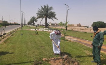 بلدية اللهابه تواصل جهودها بزراعة أشجار الظل والزينة باللهابة والمراكز التابعة بلدية اللهابه تواصل جهودها بزراعة أشجار الظل والزينة باللهابة والمراكز التابعة