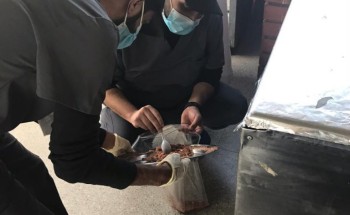بلدية خميس مشيط تتلف وتصادر نحو 948 كجم من المواد الغذائية الغير صالحة خلال الأسبوع الماضي بلدية خميس مشيط تتلف وتصادر نحو 948 كجم من المواد الغذائية الغير صالحة خلال الأسبوع الماضي