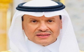 وزير الطاقة: اكتشاف حقلين للزيت والغاز في “الشمالية” والجوف