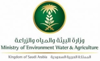 وزراء “البيئة” العرب يتخذون عدد من القرارات لتفادي كارثة بيئية محتملة جراء عدم صيانة السفينة “صافر” النفطية