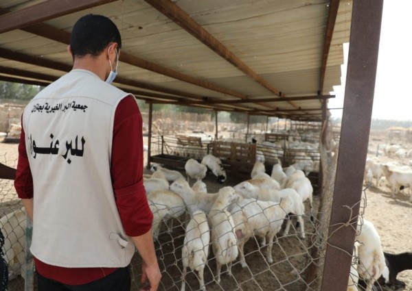 بر جازان توزع 7,500 كبلو من اللحوم الطازجه على 2,500 أسرة مستفيدة من خدماتها بر جازان توزع 7,500 كبلو من اللحوم الطازجه على 2,500 أسرة مستفيدة من خدماتها