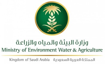 “البيئة” تواكب يوم البيئة العالمي بتبني إطار مستدام يستهدف رفع الوعي لاستعادة النظام الإيكولوجي