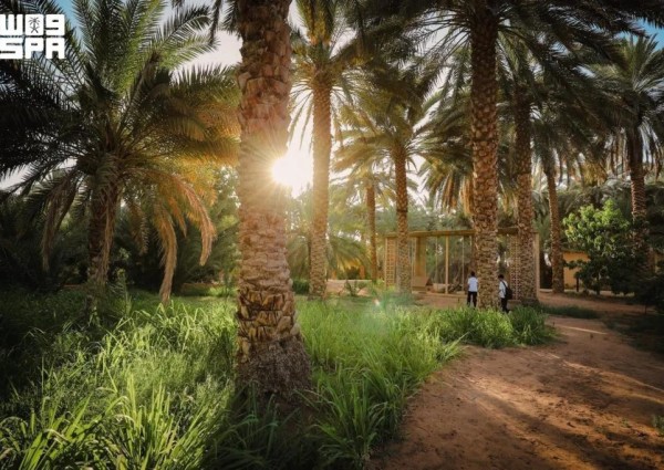 الهيئة الملكية للعُلا تطلق موسم «خيرات العُلا» الزراعي 2026-2027 الهيئة الملكية للعُلا تطلق موسم «خيرات العُلا» الزراعي 2026-2027