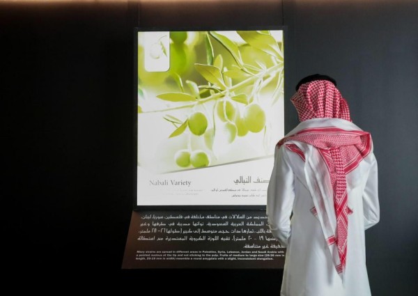 رحلة الزيتون بمهرجان زيتون الجوف الدولي بين الثقافات الأغريقية والثقافات المعاصرة رحلة الزيتون بمهرجان زيتون الجوف الدولي بين الثقافات الأغريقية والثقافات المعاصرة
