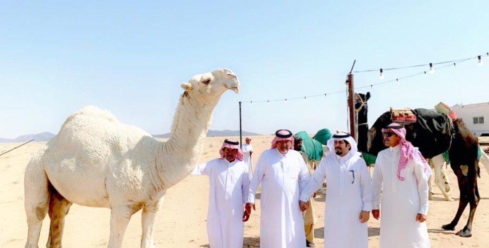 محافظ ضرية يزور مزاد ضرية الرابع