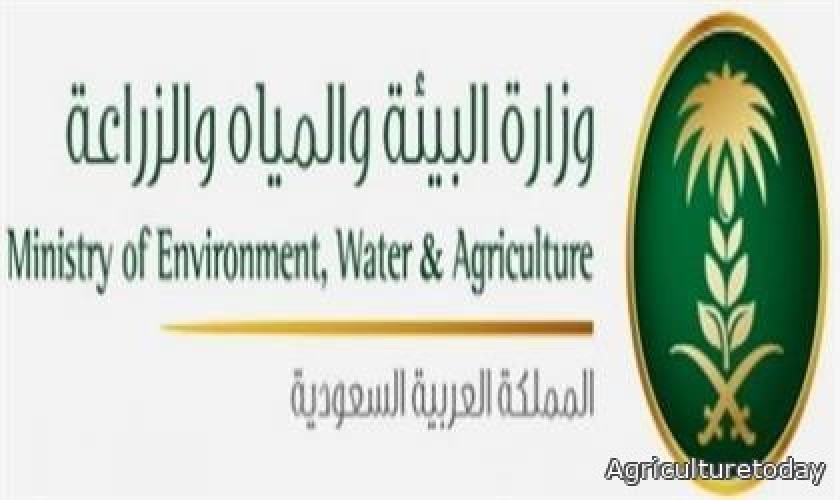 “البيئة” تنثر أكثر من 3 أطنان من بذور النباتات والأشجار الرعوية في أرجاء المملكة