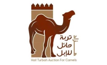 بعد أن سجل دخل أكثر من 27 مليون ريال .. اختتام مزاد تربة حائل للإبل في نسخته الثالثة بعد أن سجل دخل أكثر من 27 مليون ريال .. اختتام مزاد تربة حائل للإبل في نسخته الثالثة