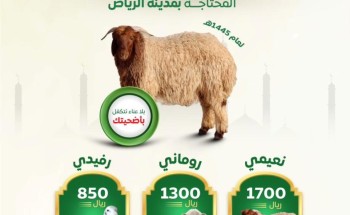 وفق أحكام الشريعة وبأسعار ميسّرة.. “بر الرياض ” تطلق مشروع الأضاحي وفق أحكام الشريعة وبأسعار ميسّرة.. “بر الرياض ” تطلق مشروع الأضاحي