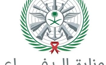 وزارة الدفاع: تدمير 4 مسيّرات في فترة وجيزة