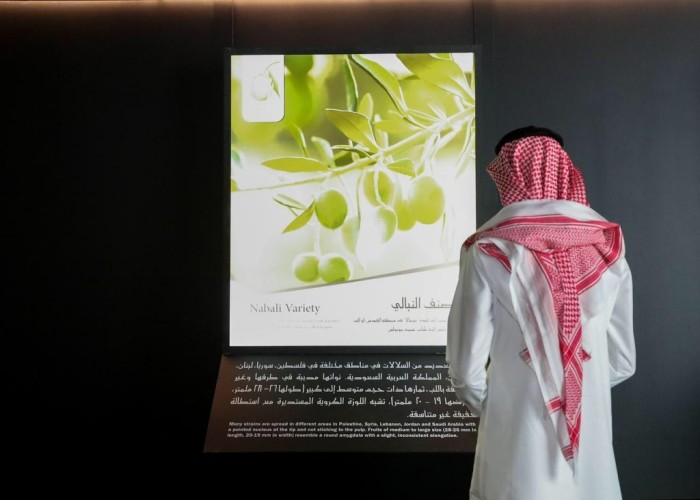 رحلة الزيتون بمهرجان زيتون الجوف الدولي بين الثقافات الأغريقية والثقافات المعاصرة