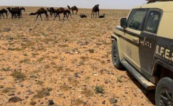 القوات الخاصة للأمن البيئي تضبط مخالفًا لنظام البيئة لارتكابه مخالفة رعي