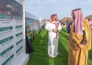 نائب أمير حائل يرعى مبادرة التشجير احتفالاً بيوم السعودية الخضراء . نائب أمير حائل يرعى مبادرة التشجير احتفالاً بيوم السعودية الخضراء .