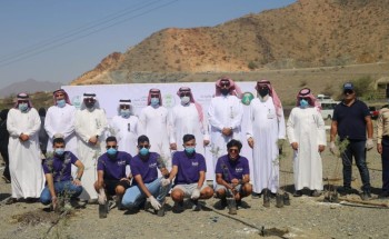 بيئة الطائف تزرع السلم والسيال والطلح في جبال الهدا بيئة الطائف تزرع السلم والسيال والطلح في جبال الهدا