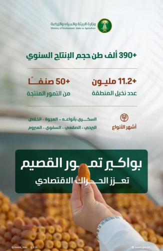 القصيم تطلق «موسم بواكير التمور» بأكثر من 50 صنفًا وإنتاج يتجاوز 390 ألف طن سنويًا