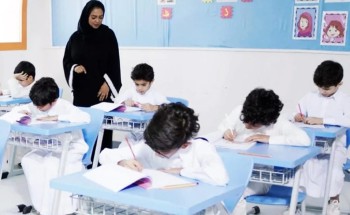 74% من الطلاب لم يتغيبوا عن الدراسة خلال عام.. والإحصاء: 95% لم يصلوا إلى الغياب المزمن