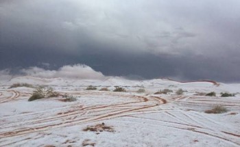 تتقدمهم “حائل” .. الكشف عن المدن التي سجلت أدنى درجات الحرارة في المملكة اليوم تتقدمهم “حائل” .. الكشف عن المدن التي سجلت أدنى درجات الحرارة في المملكة اليوم