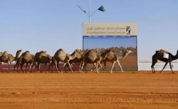 مهرجان الملك عبدالعزيز للإبل يحجب جميع الجوائز من “بن دغيثر” وتغريمه “مليون ريال” مهرجان الملك عبدالعزيز للإبل يحجب جميع الجوائز من “بن دغيثر” وتغريمه “مليون ريال”