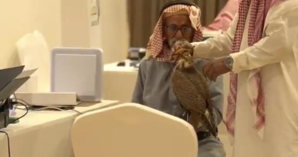 قارب عمره المائة.. أكبر صقار سعودي يشارك بمهرجان الملك عبدالعزيز بالرياض