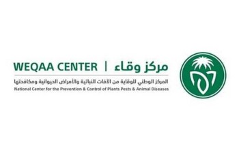 مركز وقاء ينفذ حملة لتحصين الماشية ضد مرض الحمى القلاعية في الحدود الشمالية خلال الـ 3 أشهر الماضية مركز وقاء ينفذ حملة لتحصين الماشية ضد مرض الحمى القلاعية في الحدود الشمالية خلال الـ 3 أشهر الماضية