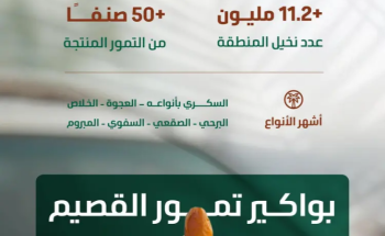 القصيم تطلق «موسم بواكير التمور» بأكثر من 50 صنفًا وإنتاج يتجاوز 390 ألف طن سنويًا القصيم تطلق «موسم بواكير التمور» بأكثر من 50 صنفًا وإنتاج يتجاوز 390 ألف طن سنويًا