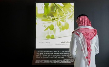 رحلة الزيتون بمهرجان زيتون الجوف الدولي بين الثقافات الأغريقية والثقافات المعاصرة رحلة الزيتون بمهرجان زيتون الجوف الدولي بين الثقافات الأغريقية والثقافات المعاصرة