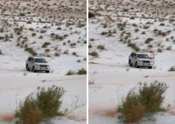 عقب هطول الأمطار المصحوبة بالبرد .. بالفيديو: صحراء النفود الكبير بـ”حائل” تتحول من اللون الأصفر إلى البياض الناصع