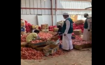 بالفيديو .. “وزارة التجارة”: ضبط عمالة مخالفة تستغل موقع عشوائي لتعبئة وتخزين البصل والبطاطس بشكل مخالف بالفيديو .. “وزارة التجارة”: ضبط عمالة مخالفة تستغل موقع عشوائي لتعبئة وتخزين البصل والبطاطس بشكل مخالف