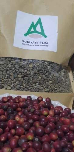 حضور متألق لمزارعي بُن الريث في المهرجان السابع للبن بالداير