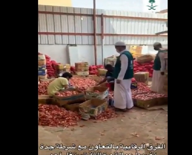 بالفيديو .. “وزارة التجارة”: ضبط عمالة مخالفة تستغل موقع عشوائي لتعبئة وتخزين البصل والبطاطس بشكل مخالف