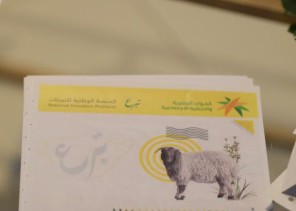 “العيّاد”يدشن حملة” نسمي على أضحيتك لتصل لك ولمستحقيها ” بحائل “العيّاد”يدشن حملة” نسمي على أضحيتك لتصل لك ولمستحقيها ” بحائل