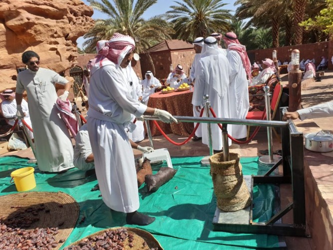 أهالي العلا،على موعد مع ظهيرة سبت ساخنة في مهرجان تمور(الشنة،والمجلاد)