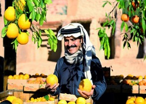 تعرض من خلاله مختلف الفواكه .. إنطلاق مهرجان العلا للحمضيات في موسمه الثاني( صور ) تعرض من خلاله مختلف الفواكه .. إنطلاق مهرجان العلا للحمضيات في موسمه الثاني( صور )