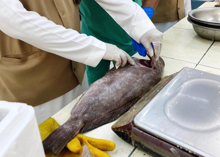 بلدية القريات تنفذ 209 جولة رقابية على المنشآت التجارية