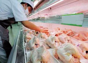 مصادر: زيادة جديدة في أسعار الدواجن تصل لـ15% بدءًا من اليوم