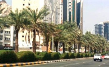 أمانة العاصمة المقدسة تشرع في أعمال صيانة ونظافة المزروعات وتأهيل المسطحات الخضراء أمانة العاصمة المقدسة تشرع في أعمال صيانة ونظافة المزروعات وتأهيل المسطحات الخضراء