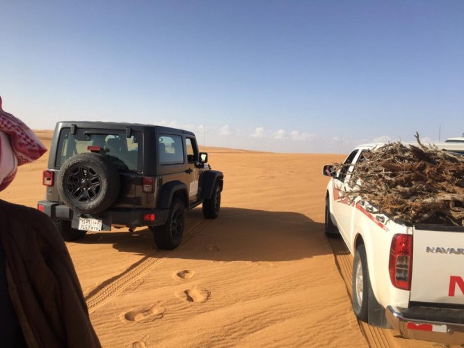 “البيئة” تنفذ حملة موسعة على مواقع بيع الحطب المحلي في 4 مناطق
