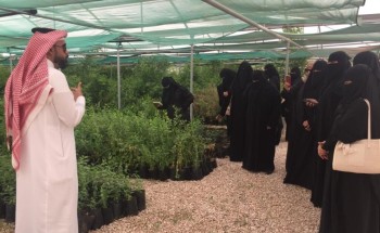 مؤسسة الري تفيد مُنتسبات دار التربية الإجتماعية للبنات بالأحساء بأنواع الأشجار والتدريب عملياً على زراعة البعض منها