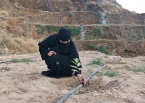 كأول مشروع ريفي .. بالصور : مواطنة تنشأ نزلاً ريفياً على أحد المطلات الجبلية بمحافظة الداير
