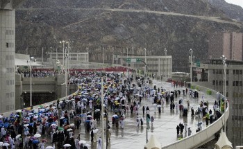 وزير الحج يعفي مديري مكتبي حجاج ويوجه بالتحقيق معهما وزير الحج يعفي مديري مكتبي حجاج ويوجه بالتحقيق معهما