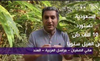 تقرير عن “الهيل” الذي منعت المملكة استيراده إلا بشرط واحد