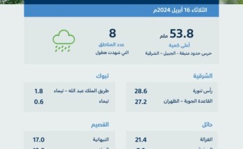 “البيئة” ترصد هطول أمطار في (8) مناطق.. والشرقية تسجّل أعلى كمية بـ (53.8) ملم في الجبيل