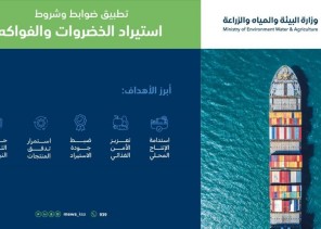 “البيئة” تطلق آلية جديدة لتطبيق ضوابط وشروط استيراد الخضروات والفواكه